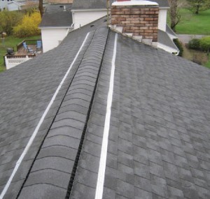 zinc strip roof