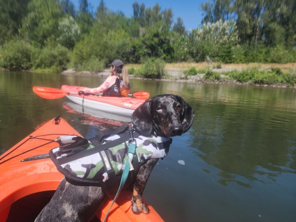 oxbow park mt hood living