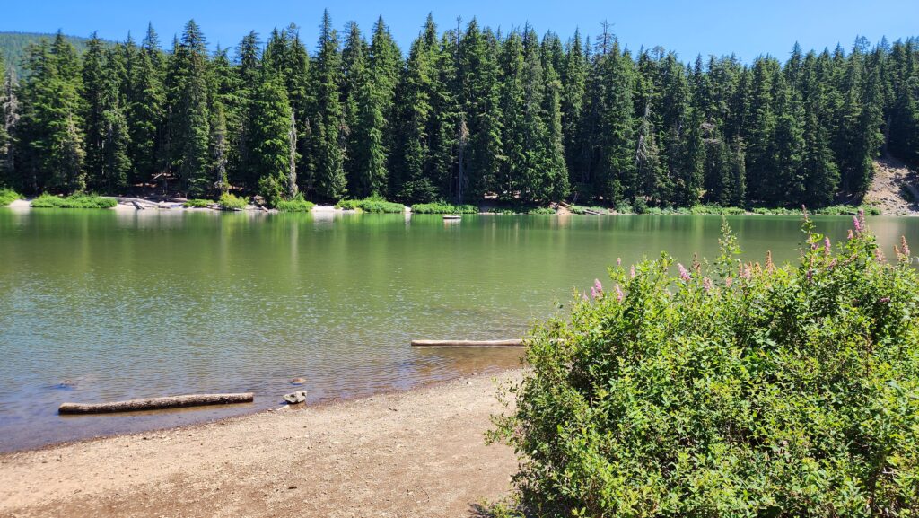 Frog Lake, Mt Hood Area Real Estate, Mt Hood Living, Government Camp Oregon